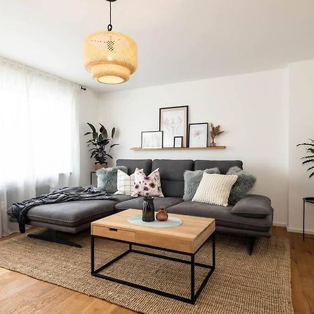 Luxury Apartment On The Rhein Busingen am Hochrhein Exteriér fotografie