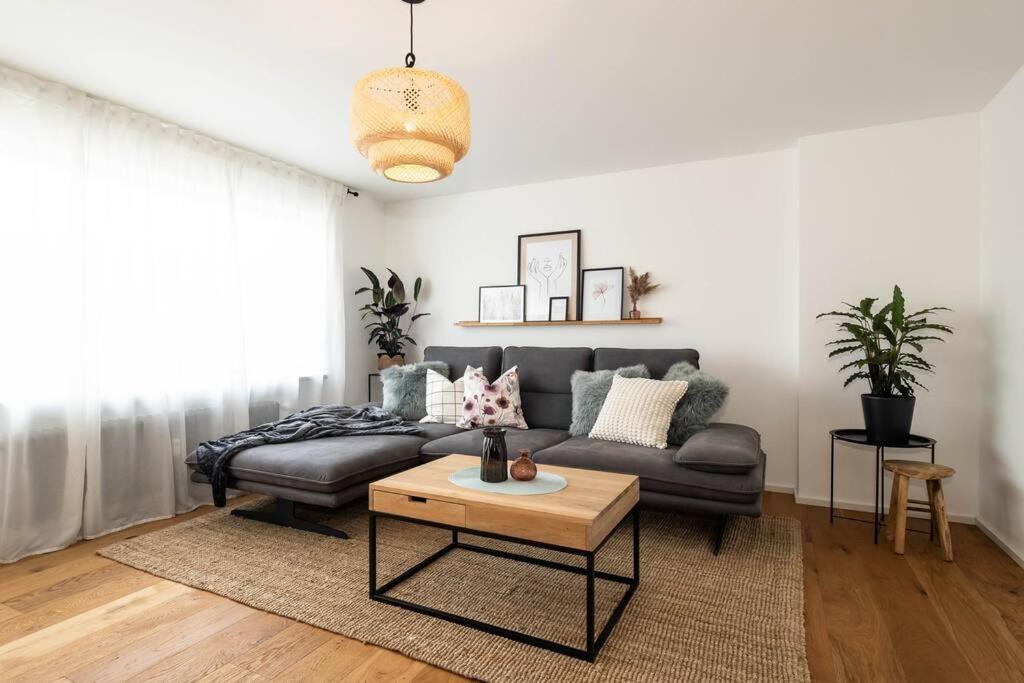Luxury Apartment On The Rhein Busingen am Hochrhein Exteriér fotografie