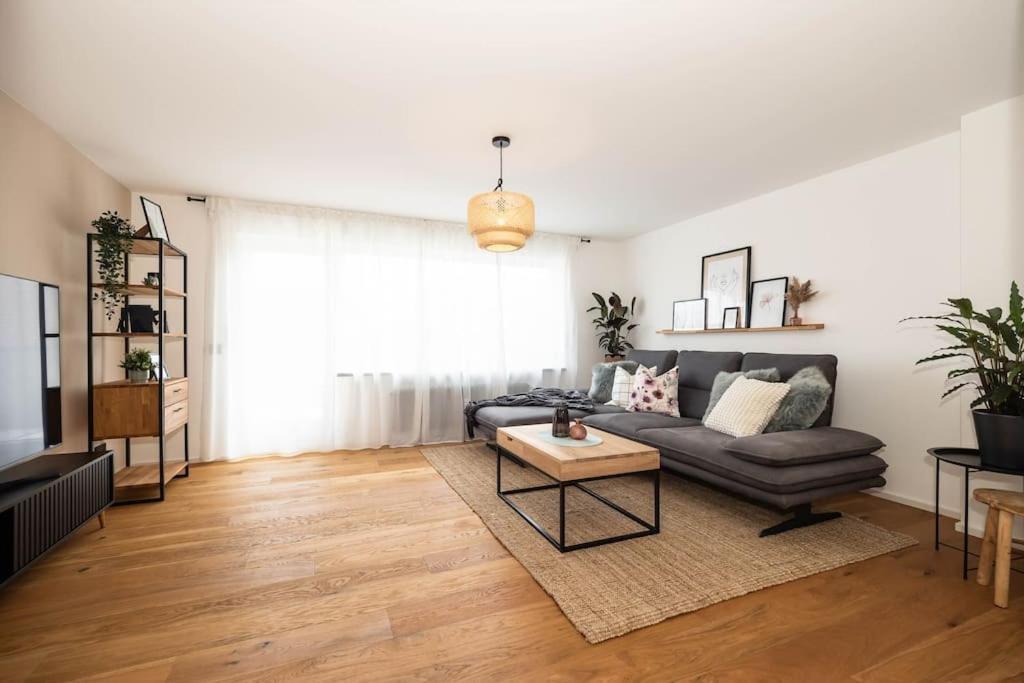 Luxury Apartment On The Rhein Busingen am Hochrhein Exteriér fotografie