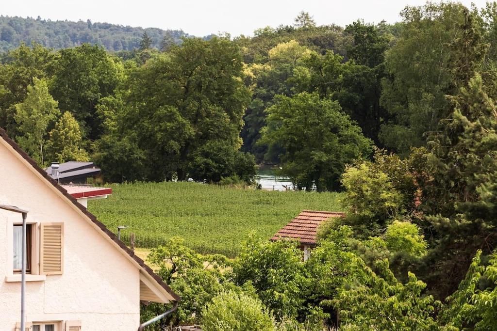 Luxury Apartment On The Rhein Busingen am Hochrhein Exteriér fotografie