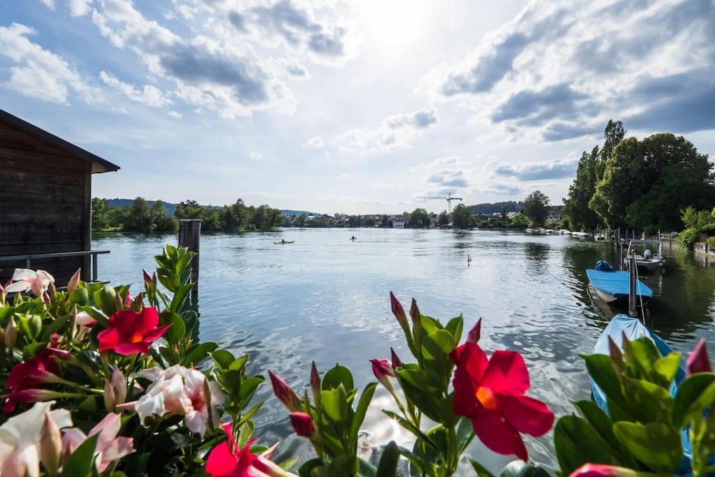 Luxury Apartment On The Rhein Busingen am Hochrhein Exteriér fotografie