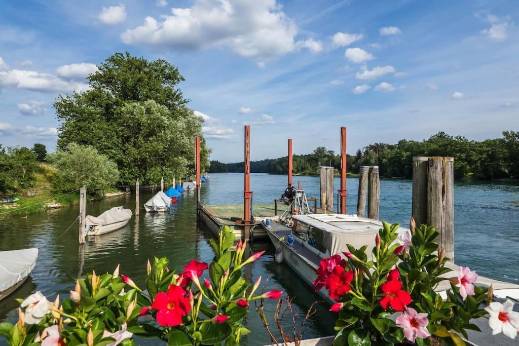 Luxury Apartment On The Rhein Busingen am Hochrhein Exteriér fotografie