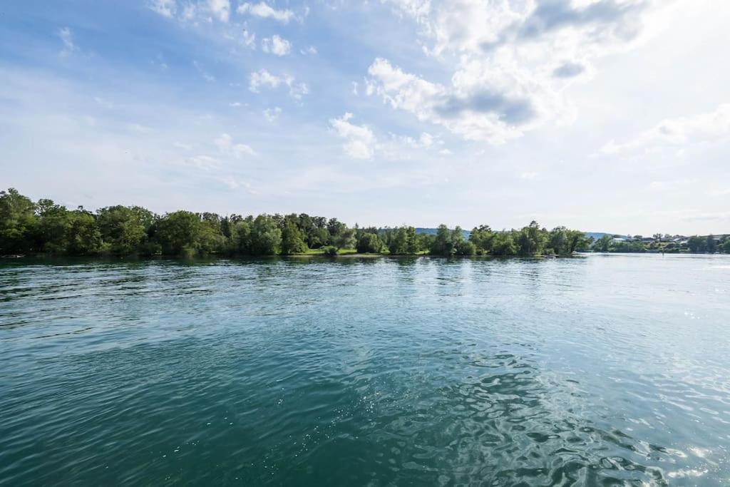 Luxury Apartment On The Rhein Busingen am Hochrhein Exteriér fotografie