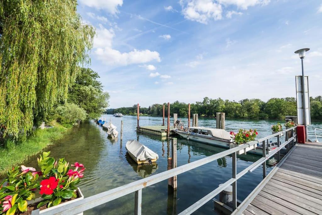 Luxury Apartment On The Rhein Busingen am Hochrhein Exteriér fotografie
