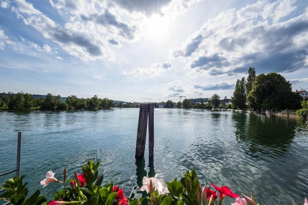 Luxury Apartment On The Rhein Busingen am Hochrhein Exteriér fotografie
