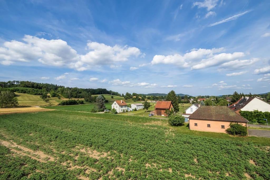 Luxury Apartment On The Rhein Busingen am Hochrhein Exteriér fotografie